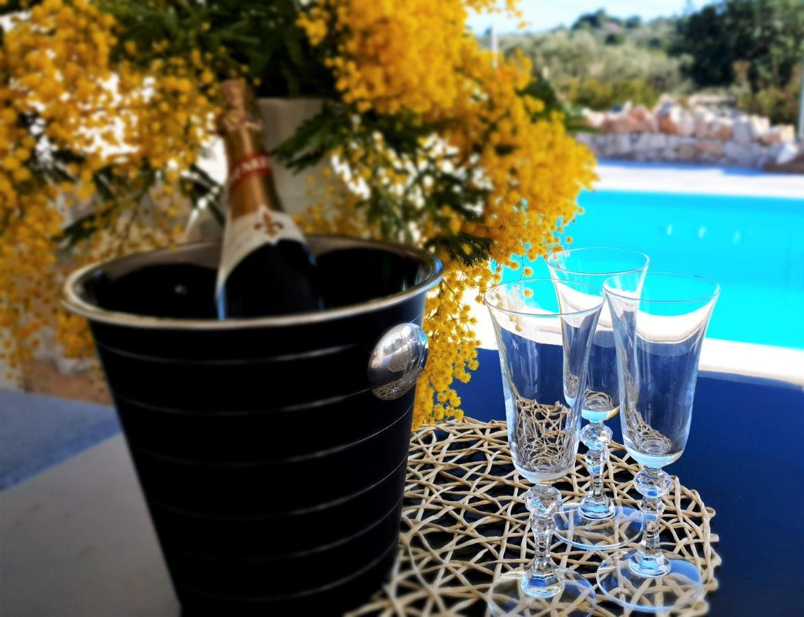 Anas Lagoon Holiday House With Pool At Azure Beach ドゥルヴェニック・マリ エクステリア 写真